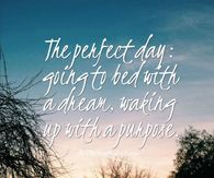 the perfect day