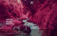 Explore, dream, discover