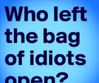 bag of idiots
