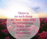 Every day is good for something