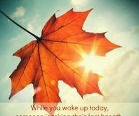 Don't waste this day