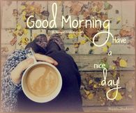 Good morning