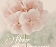 Have an amazing Sunday