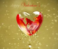 Happy Valentines Day