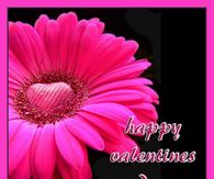 Happy Valentines Day
