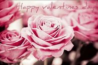 Happy Valentines Day