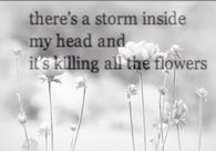 storm inside me