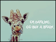 Buy a brain 