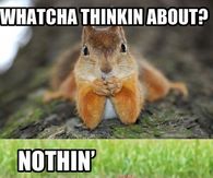 Whatcha thinkin about?