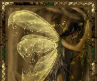 Fairy Wishes