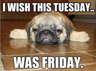 Wish it was Friday