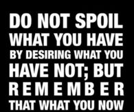 Wise Quote