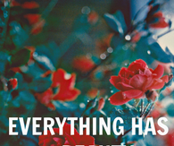 Everything Has Beauty