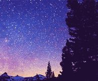 Starry Night