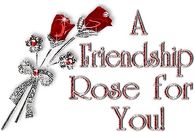 A friendship rose for you