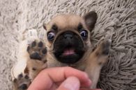 OMG!!