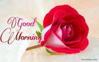 Good Morning