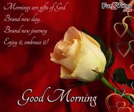 Good Morning