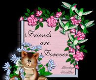 Friends are Forever