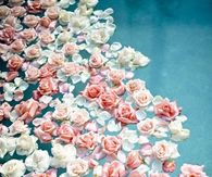 Roses Floating in Water