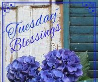 Tuesday Blessings