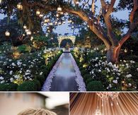 Beautiful Wedding Trends