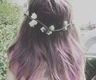 Purple Hoar With Flowers