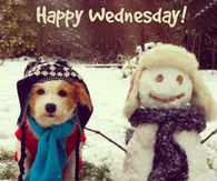 Happy Wednesday