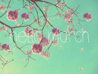 Hello March