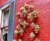 Cute Wall Garden