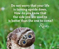 Don't worry
