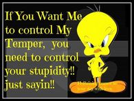 Control your stupidity