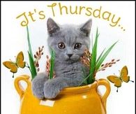 It's Thursday