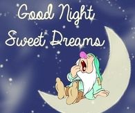 Good Night Sweet Dreams