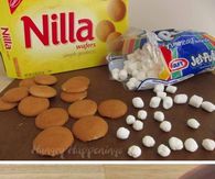 Chocolate Easter Bunny Cookies