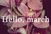 Goodbye February Hello March