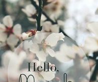 Hello March