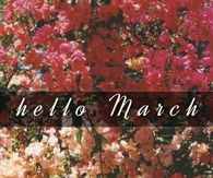 Hello March