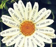 He Loves Me...He Loves Me Not