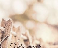 Hello March Bring Us Spring