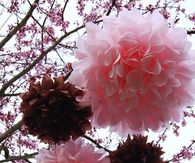 Party Paper Pom Pom's