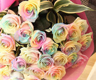 Pastel Rainbow Roses