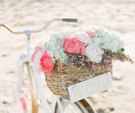 Wedding Bike