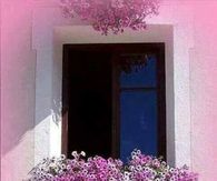 Hanging Window Flower Basket in Greece