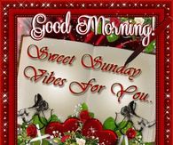 Good Morning Sweet Sunday Vibes For You
