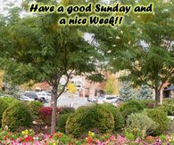 Have a Good Sunday and a Nice Week