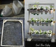 Milk Jug Garden