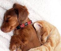 Best Friends