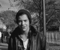 Harry Stykes