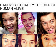 Harry Styles Is So Cute